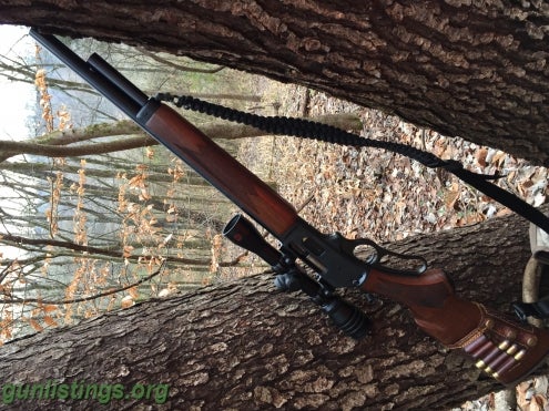 rifles nashville marlin 1895