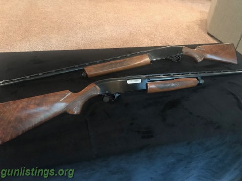 Shotguns Winchester 1200 & 1400 Skeet Guns