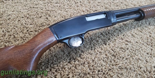 Shotguns Winchester Model 42