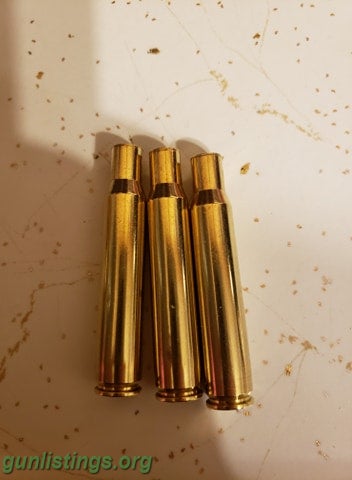Ammo 30-06 Brass (Number Correction)
