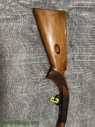 Collectibles Browning 22LR Takedown