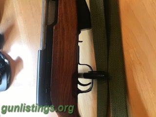 Rifles SKS - Not Modified !