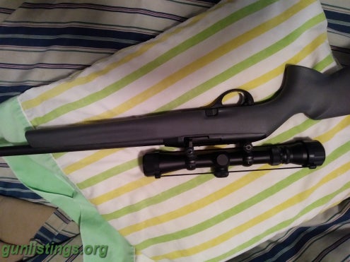Rifles Winchester 597