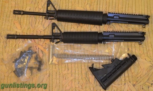 double barrel 20 ga