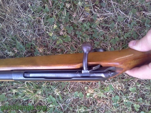 springfield shotguns