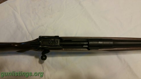 Rifles Remington Model Of 1917 (P14)