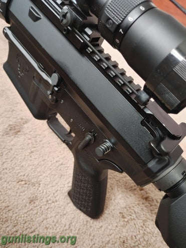 Rifles Stag Arms AR10