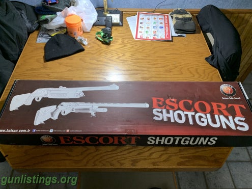 Shotguns Hatsan Escort Sdx12