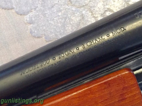 Shotguns Winchester 1200 / Sears M200 20ga Magnum Pump