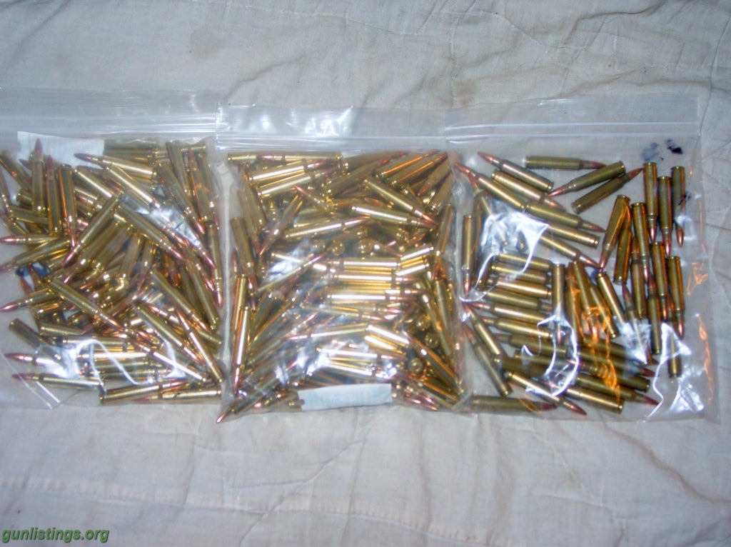 Ammo 350 Rds Of Brass 223 Ammo/50 Lc 5.56