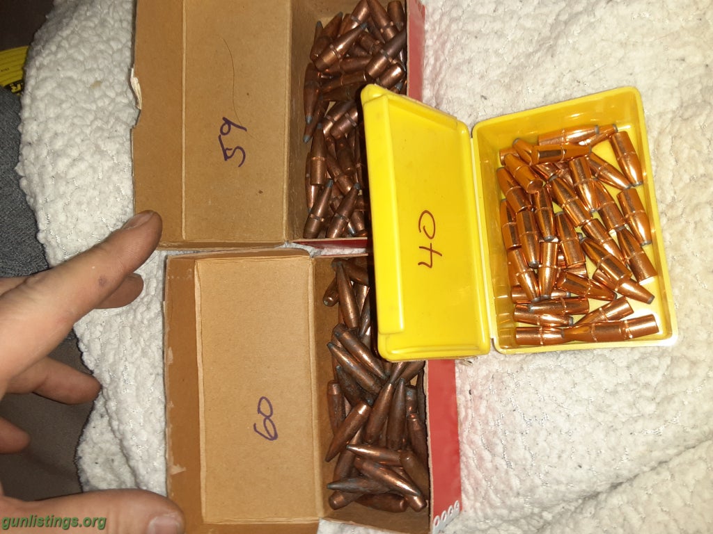 Ammo Hornady Bullets