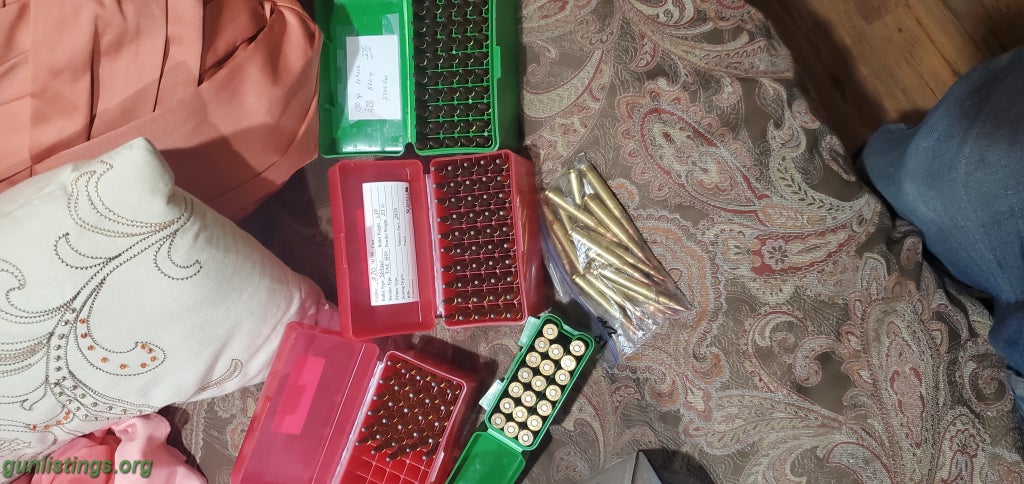 Ammo Several Rounds .270