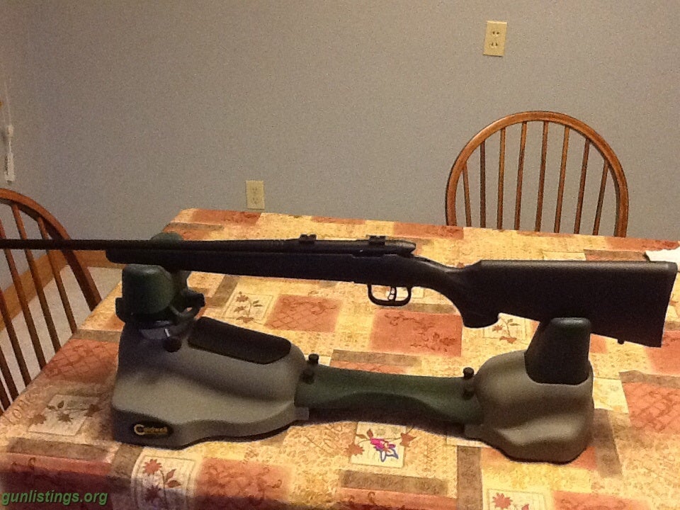 17 wsm rifle