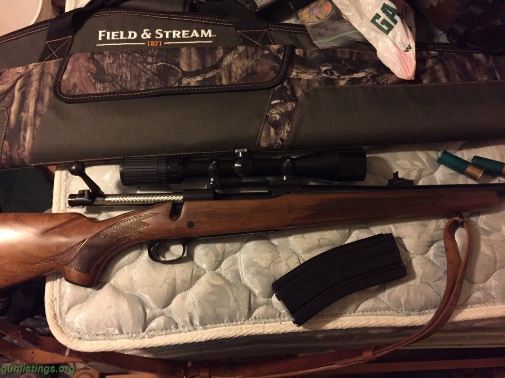 ar 15 in 3006