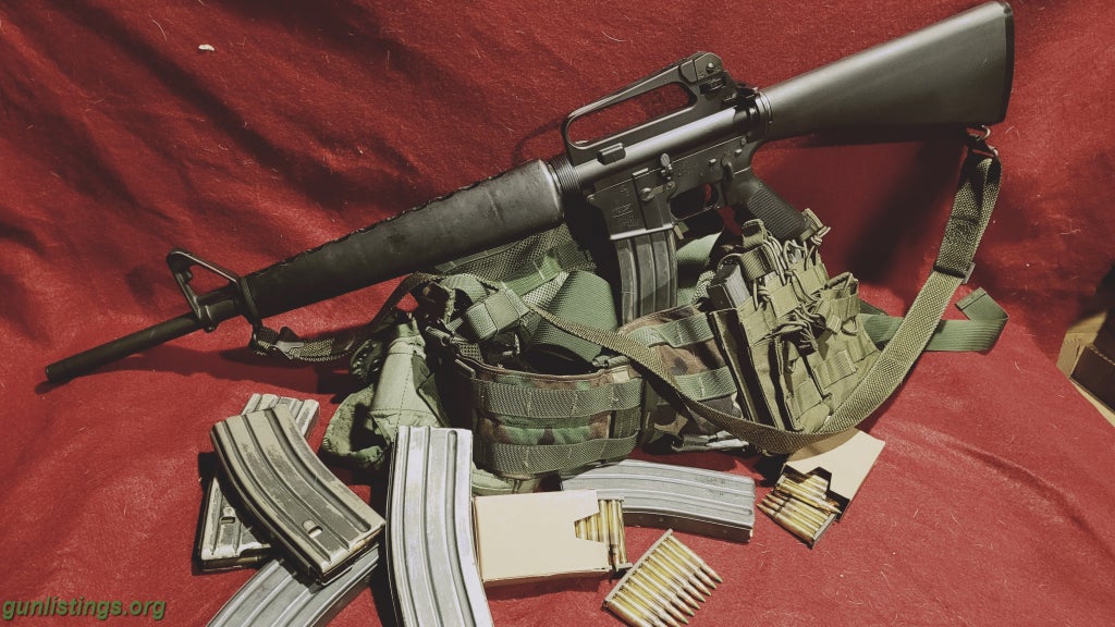 Rifles Bushmaster DCM Earlt Match A2/A1