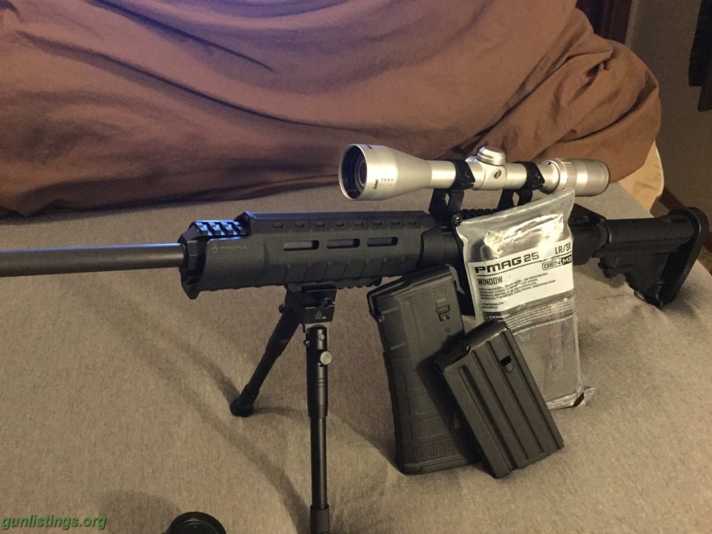 Rifles DMPS AR-10 With Bushnell 3500 Silver Elite Scope