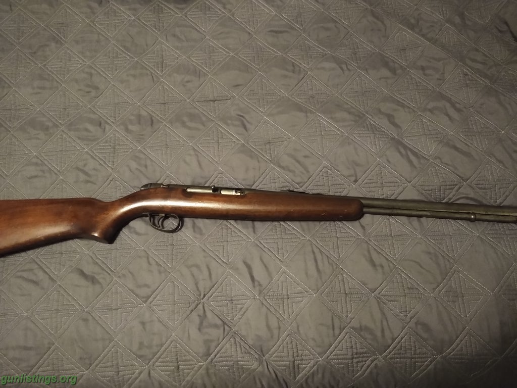 Rifles Remington 550-1