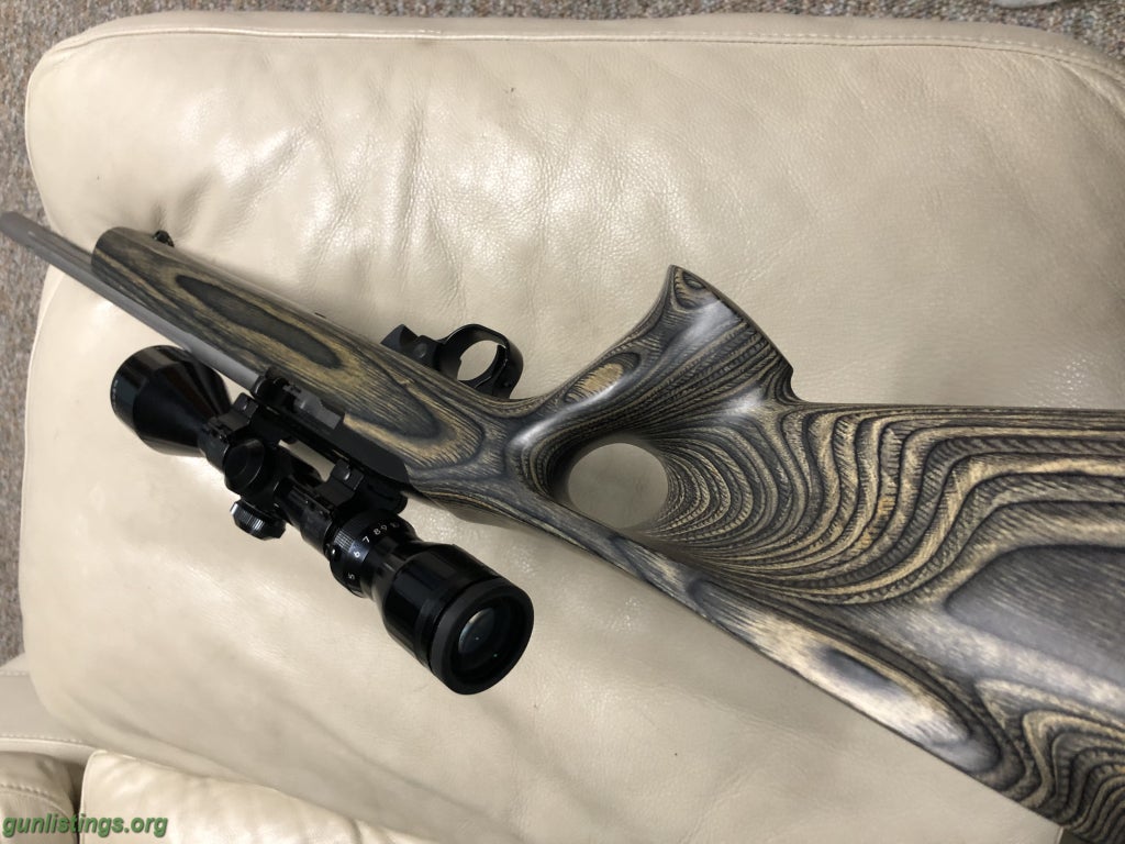 Rifles RUGER 1022