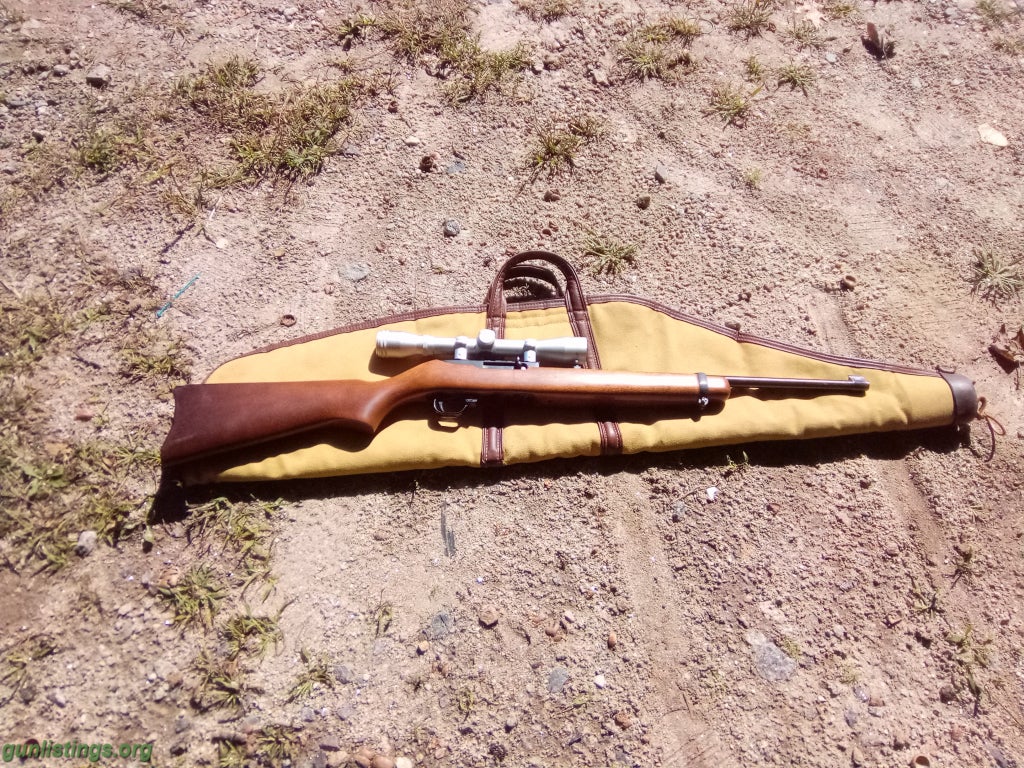 Rifles Ruger 10-22 Rifle W/scope