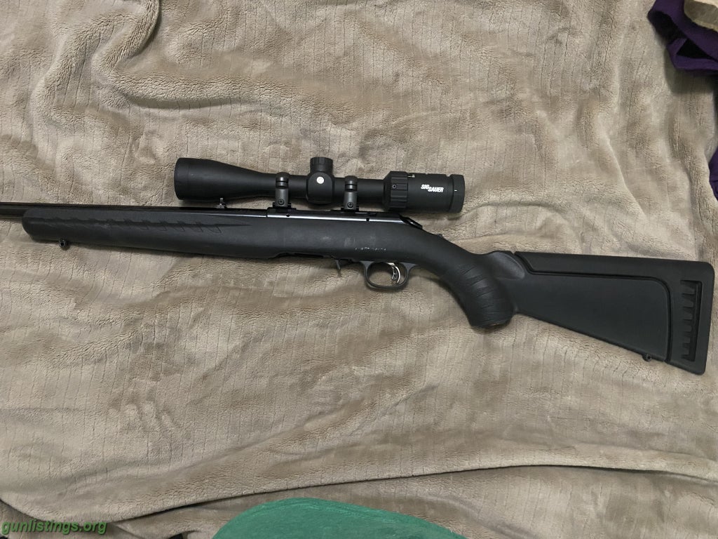 ruger american 17 hmr stainless review