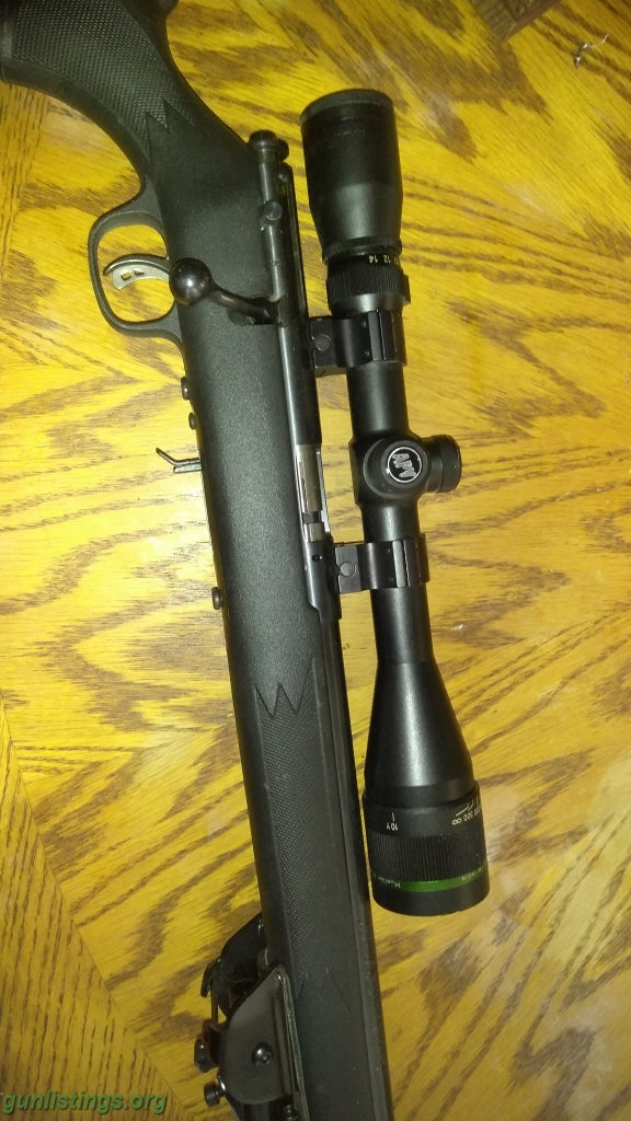 savage 17 hmr scope mount