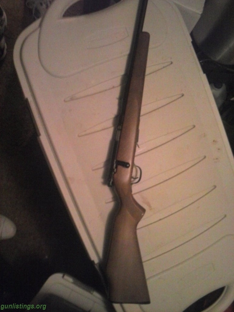 Rifles Savage 22 Lr