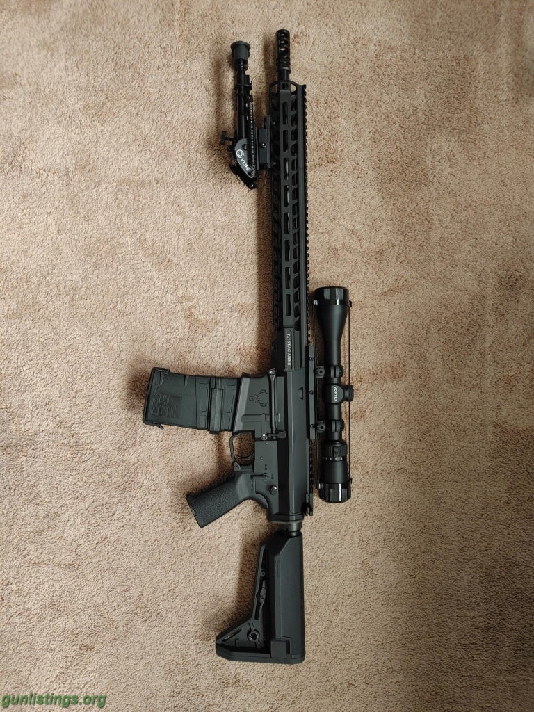 Rifles Stag Arms AR10