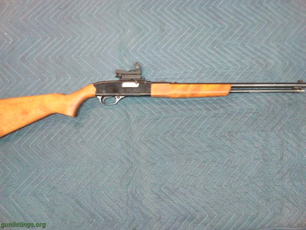 Rifles WINCHESRER 190 .22 L/LR