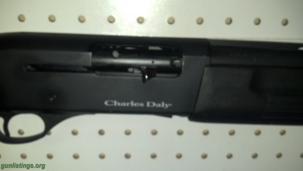 charles daly 12 ga semi auto