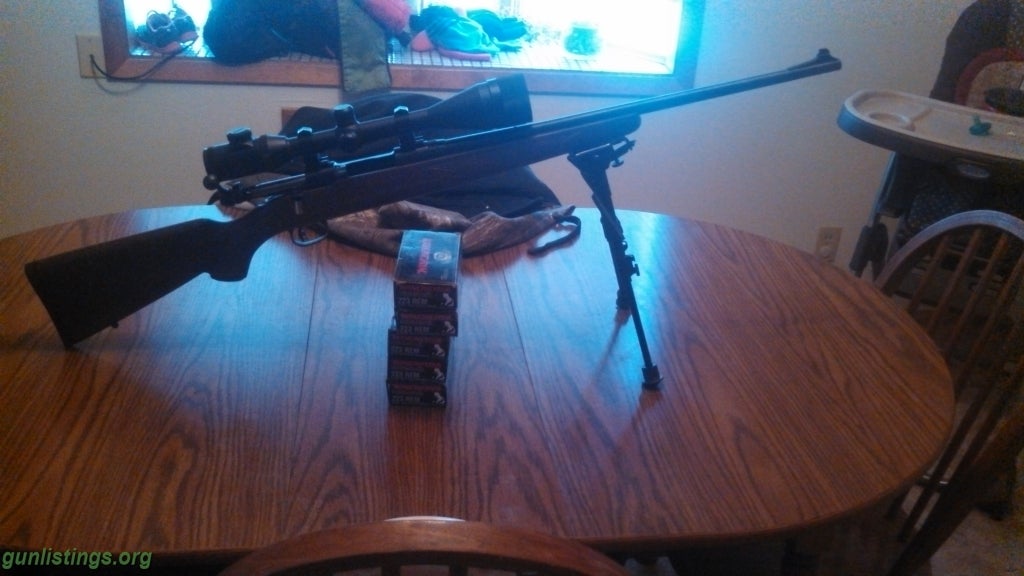 savage model 11 223