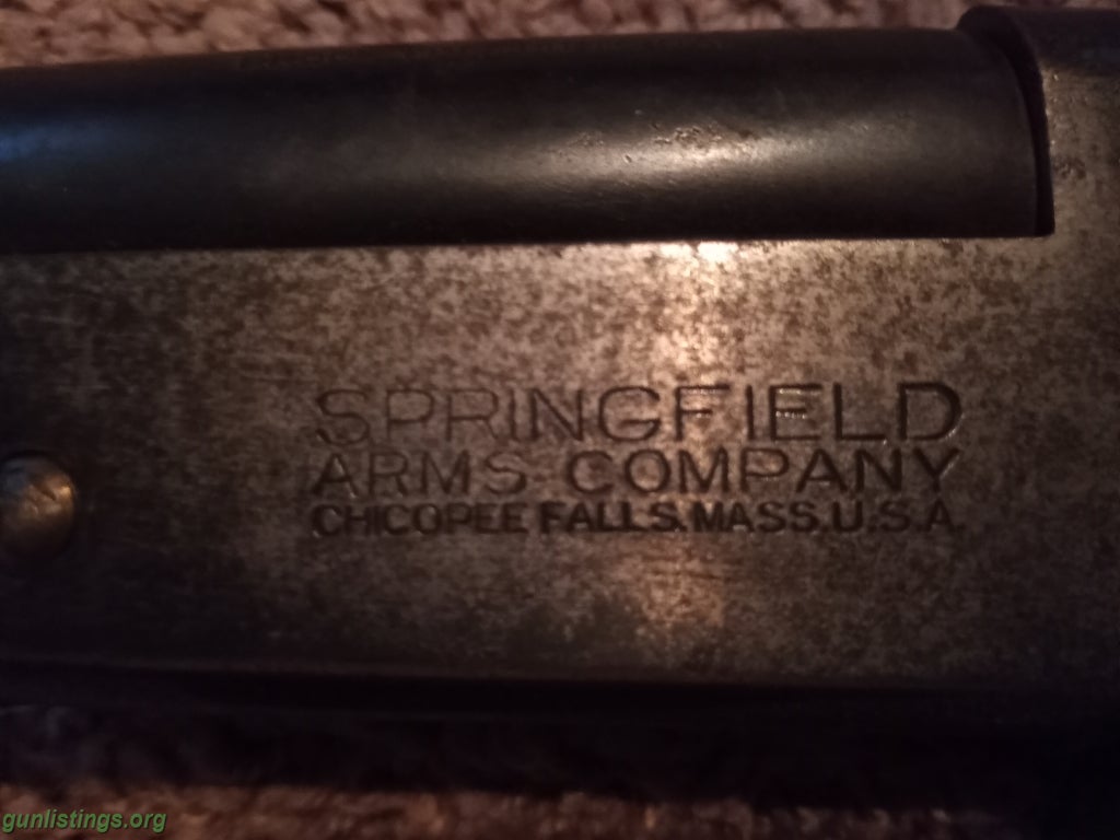 Shotguns Springfield 16g