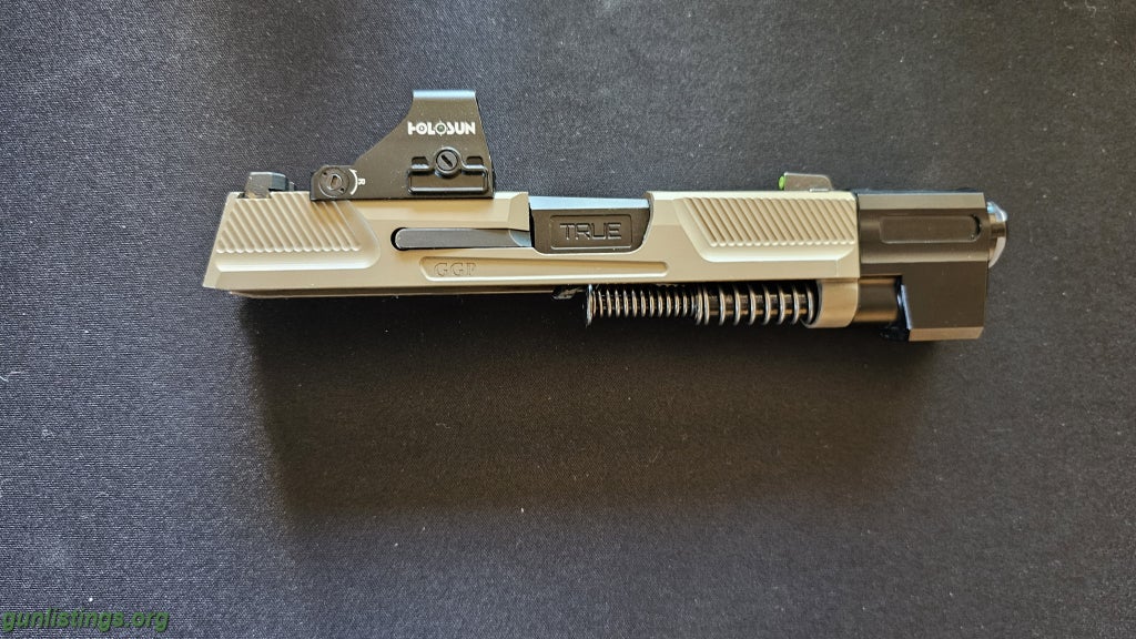 Pistols P365 Grip Module And Slide
